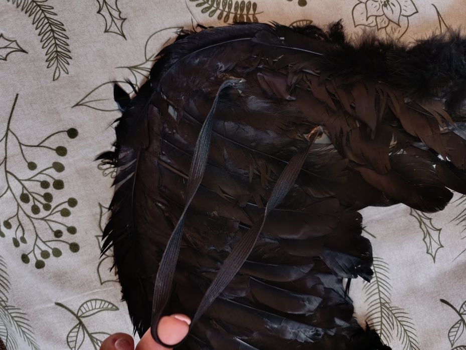 Крылья черные, перьевые.