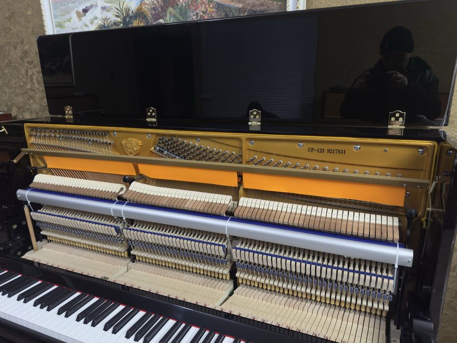 Фортепиано THOMAS. Новое.