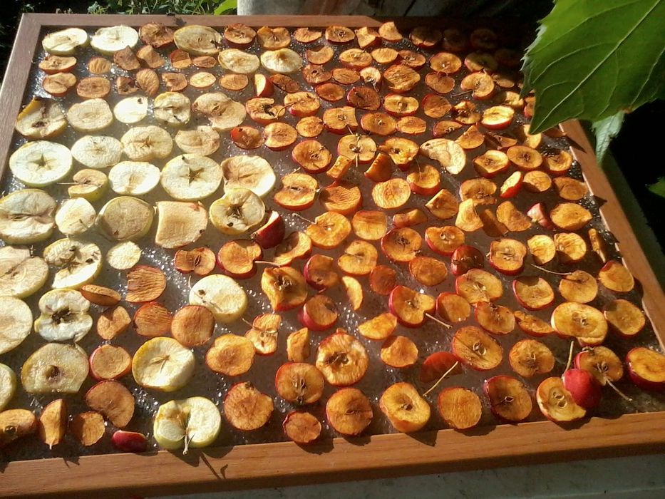 Сухофрукты яблоки,груши дачные