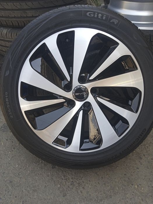 BYD zapaska champion