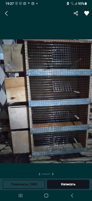 К,ушлар учун ин 4 к,аватли