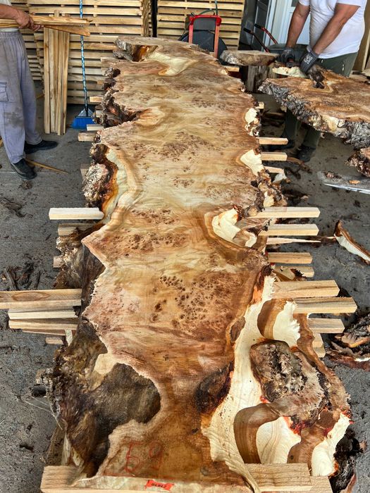 Blat plop, rasina epoxidica