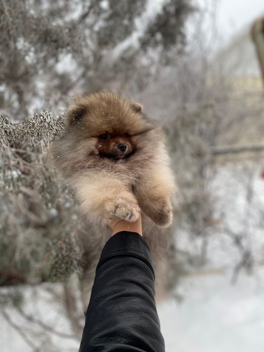 Остался шикарный мальчик