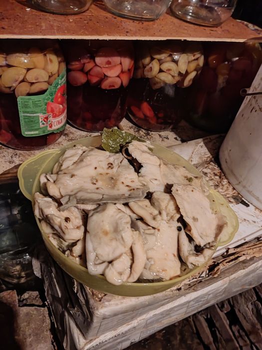 Продаю грибы грузди соленые.