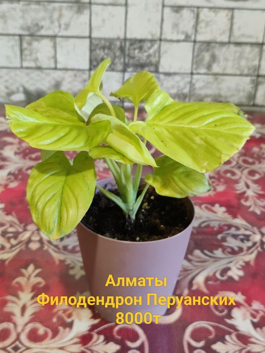 Продам Хобби для души