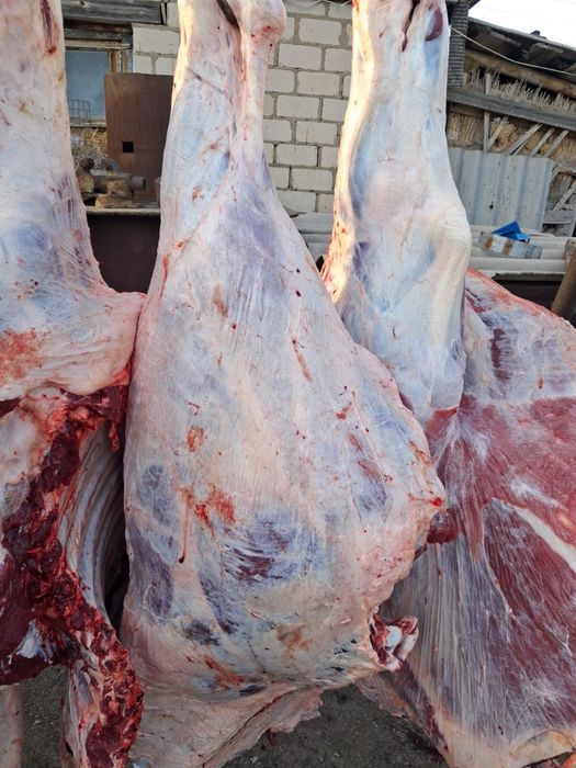 Продам ляжки говядины