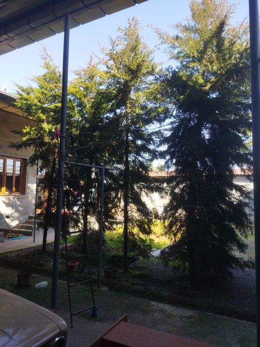 Эхсонга трекинга 4 та Арча