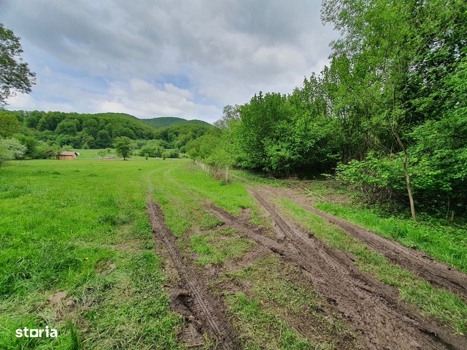 Teren Rasnov – Predeal zona de pensiuni