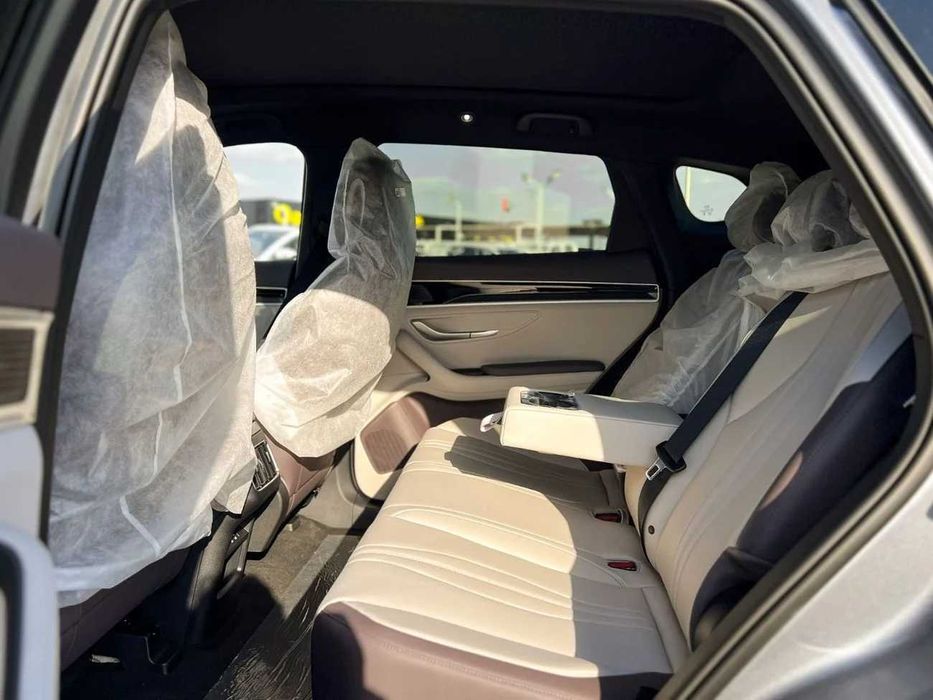 Byd Chanpion Hybrid pod zakaz