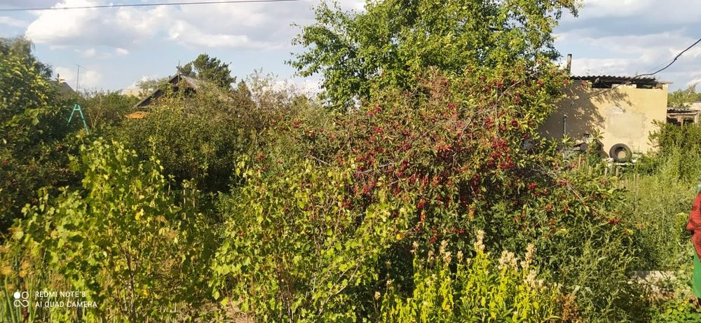 Срочно срочно Продам дачу Восточный 11 правые