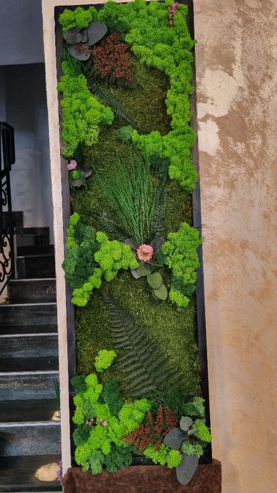 Tablou/panou cu licheni naturali stabilizati