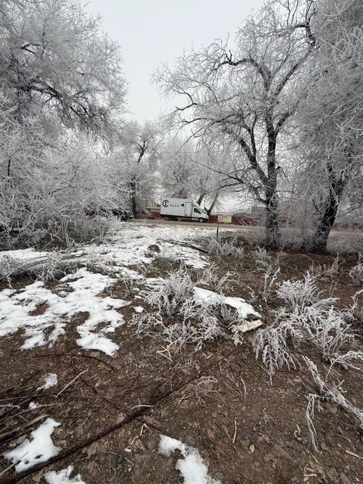 Қарасай ауданырда шұғыл түрде жер сатылады.