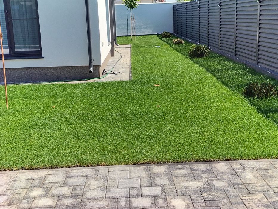 Montaj gazon 25 lei/m