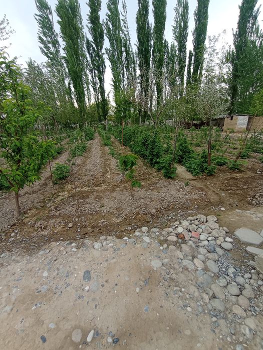 Срочно yer sotiladi  dachabop.