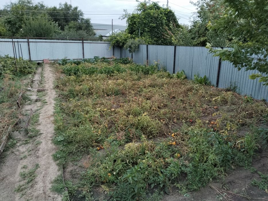 Продам дачный участок