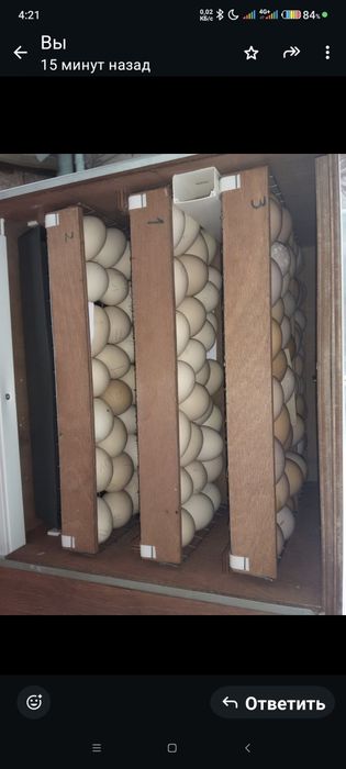 Инкубаторы! 2 шт. Б/У