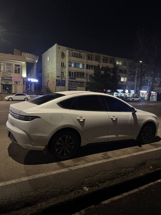 BYD Chazor Luxe 55 km