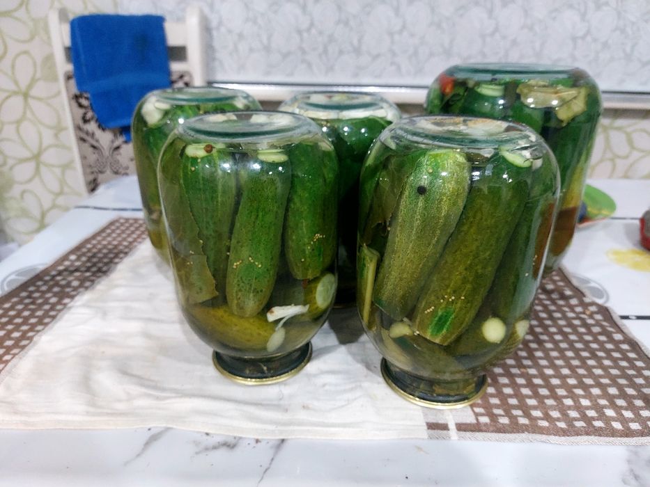 Продам 3л банки б/у 100т