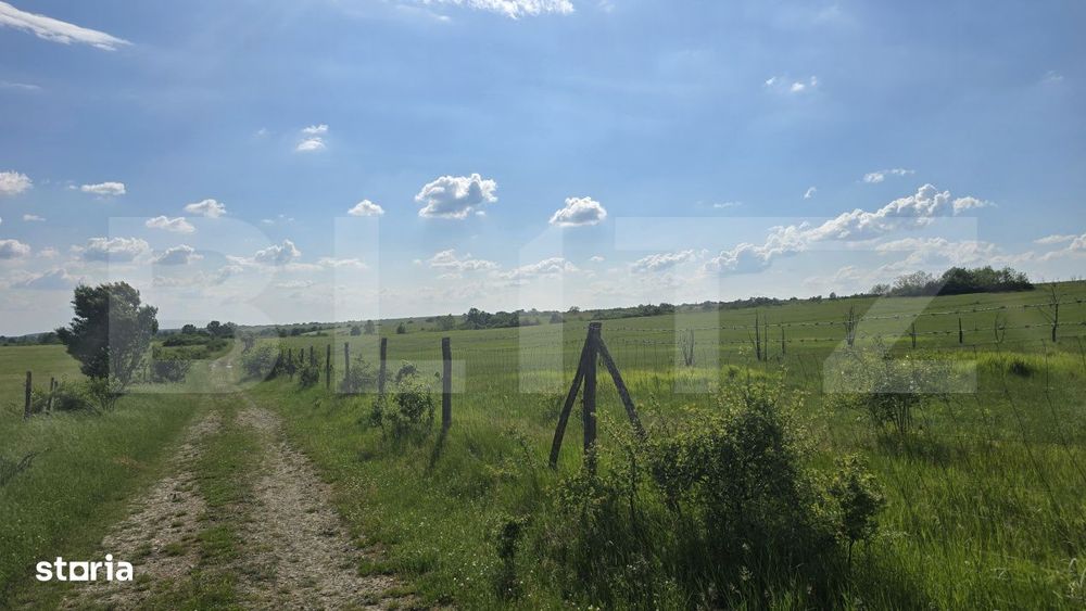 Teren agricol, comasat, apa, curent, 755000 mp, langa autostrada, Timi