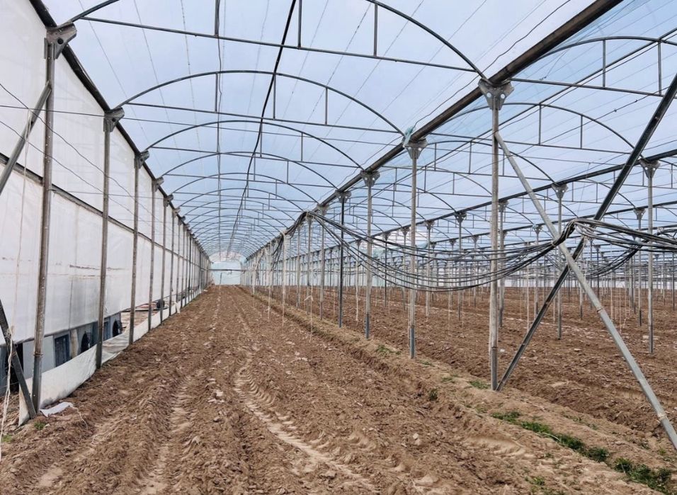 Parnik( теплица) issiqxona quriberamiz nerjaveyka 1 sotok narxi