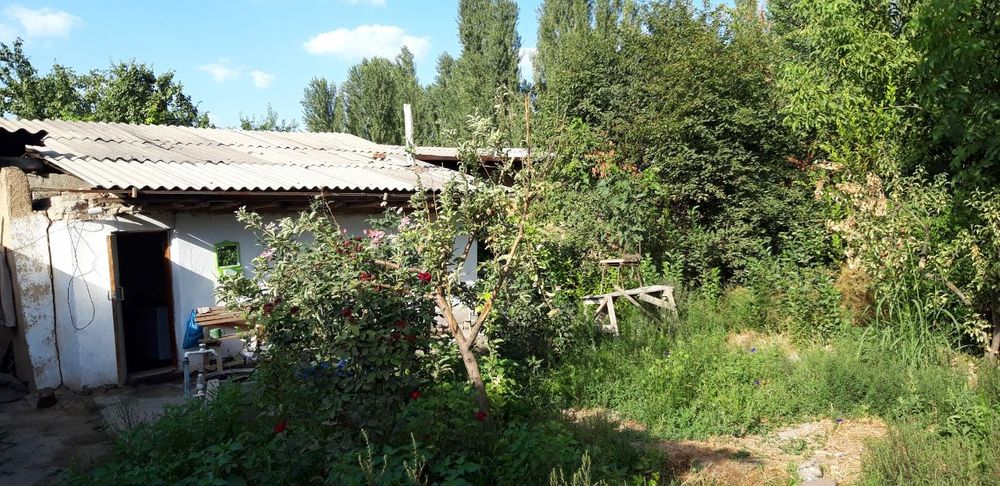 Дом огромный и участок