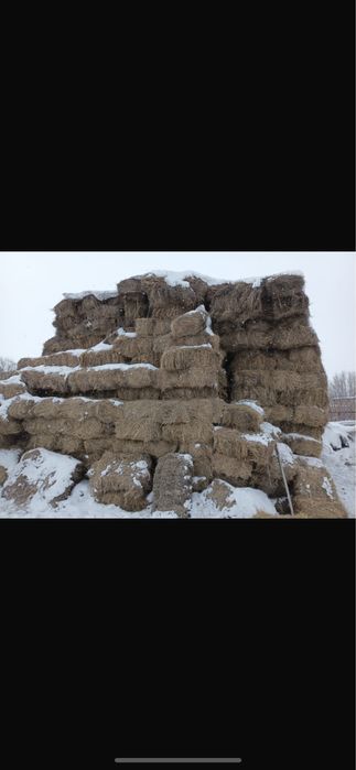 Продам сено тюки разнотравье