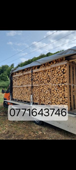 Lemne de foc fag paletizate