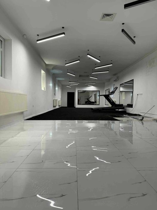 De Inchiriat Seini cental