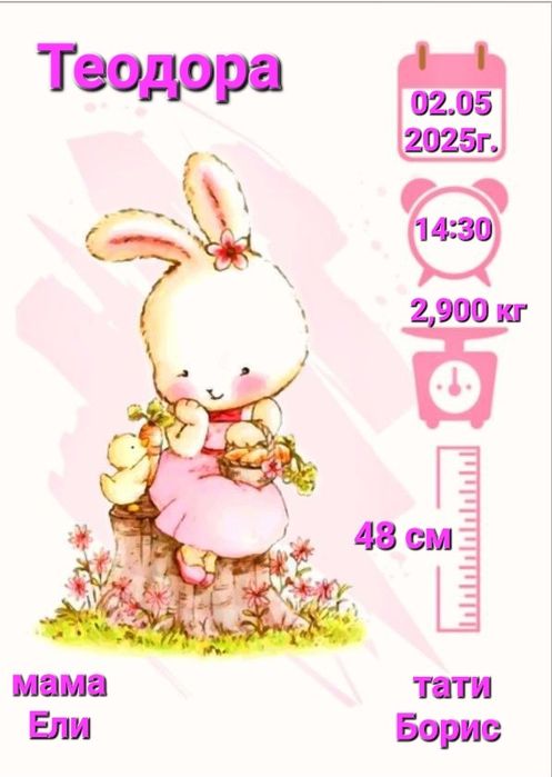 Бебешка  визитка