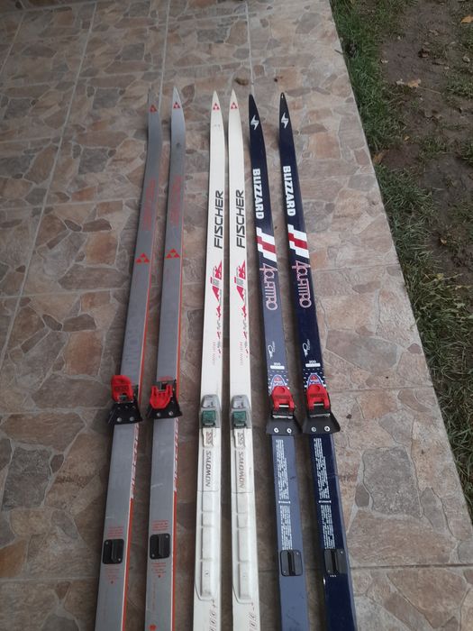 Placi, schiuri, clăpari 100 lei orice