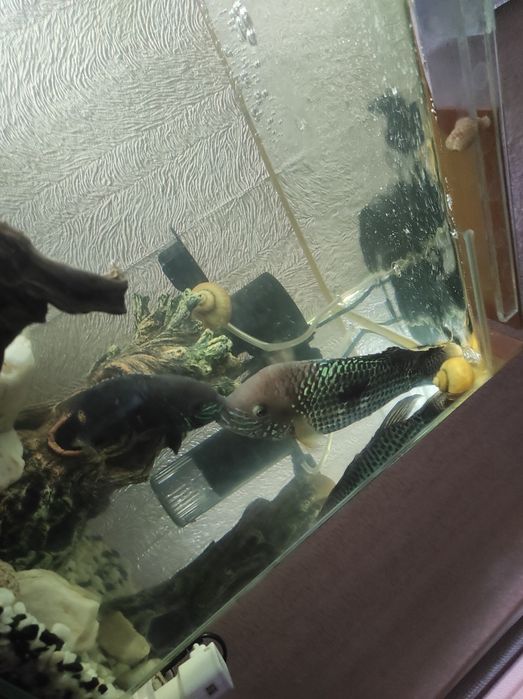 Продам аквариум 60 литров