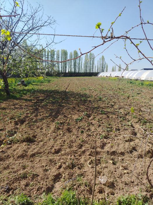 Uy sotiladi ferma qursa bolad