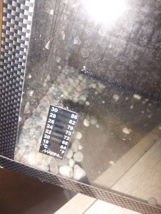 Продам аквариум в