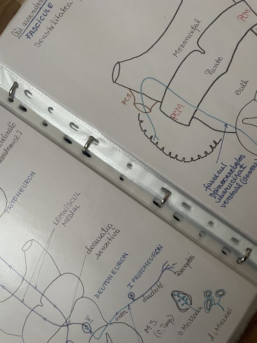 Materiale bac si admitere medicina