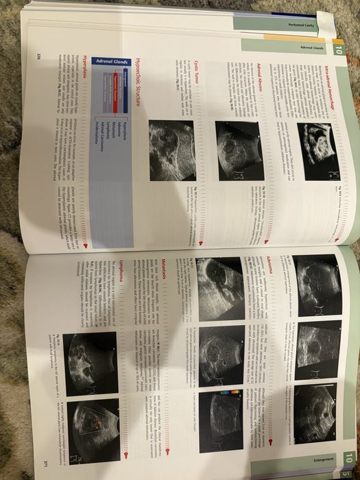 Differential Diagnosis in Ultrasound Imaging (carte ultrasonografie)