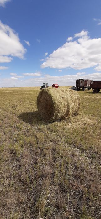 Продам сено рулонное