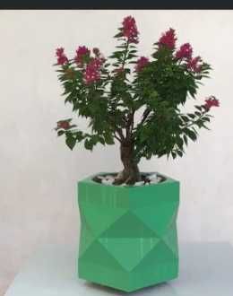 Ghivece pentru flori cu drenaj