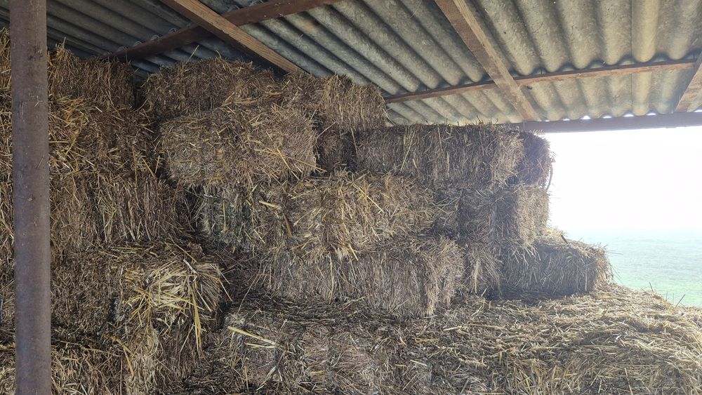 Baloti de lucerna calitatea a 2 a