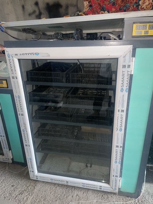 Инкубатор  170мың