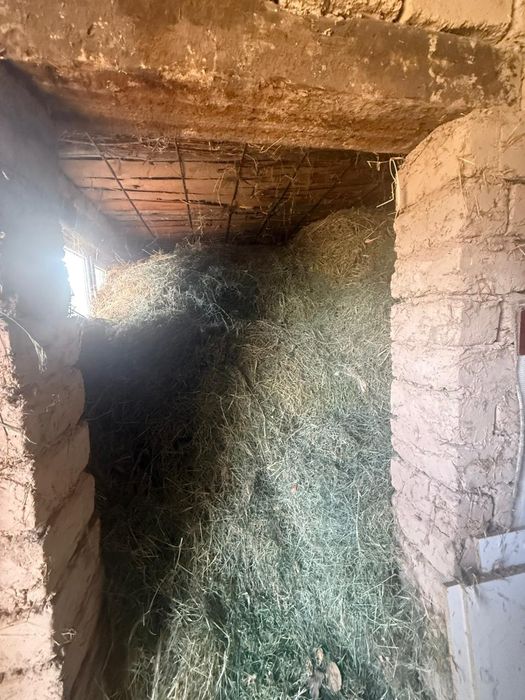 Срочна сатылады хабарласамыз