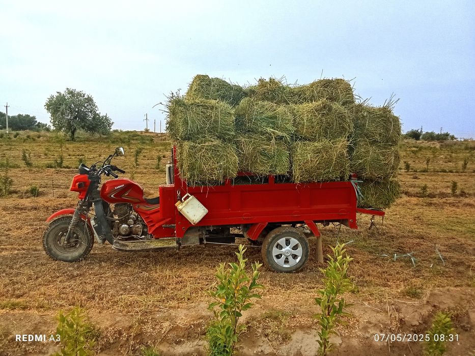 Hamkor motsakil sotiladi narxi 10 mln boʻladigan shu