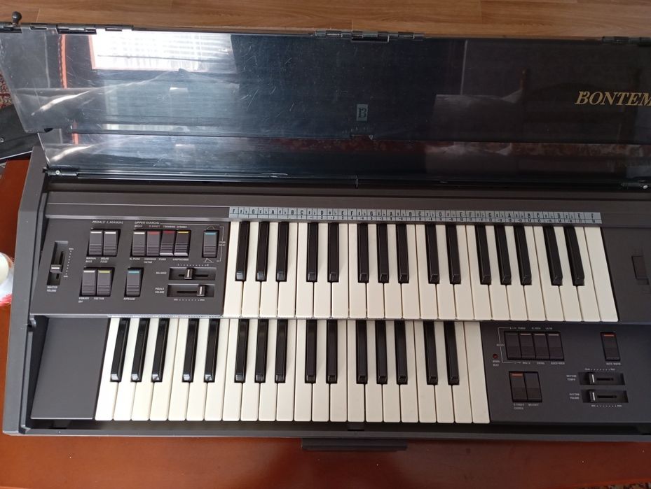 Електронен двуредов орган