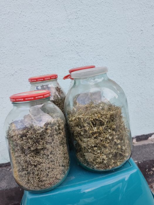 Ромашка и Мелиса