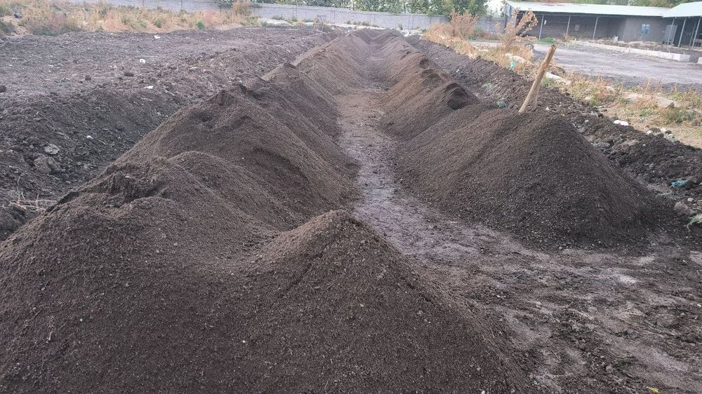 Biogumus gazon va gullar uchun mineral ogit