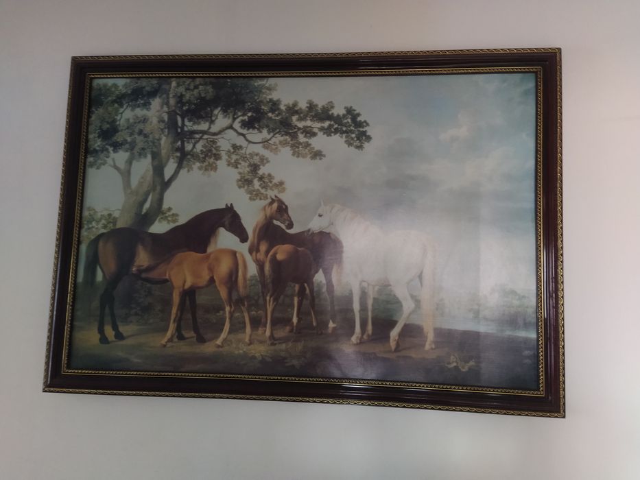 Продам две картины, принт на холсте