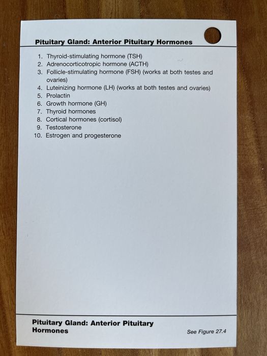 Netter‘s Physiology Flashcards 2nd Edition