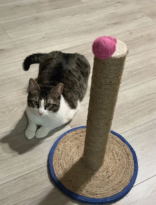 Stâlp pisici din iută naturală pentru ascuțit gheare - 45cmx30