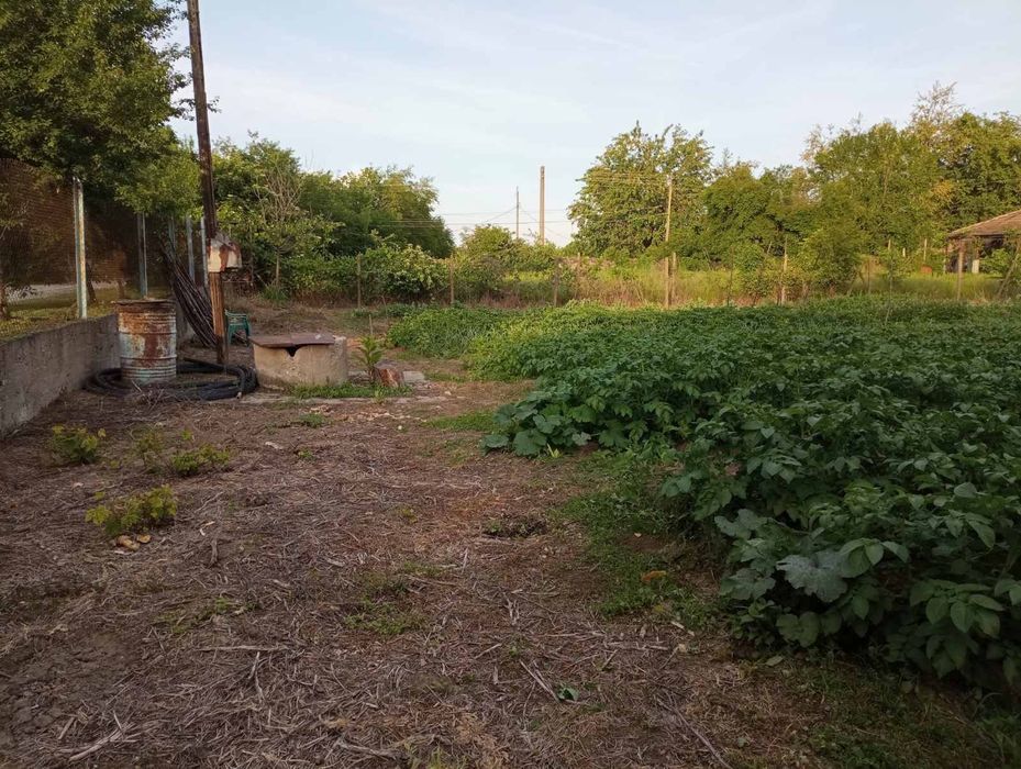 Продава се Парцел в с. Първомайци, Област Велико Търново - 900 кв.м за 21 €/кв.м - Снимка #6