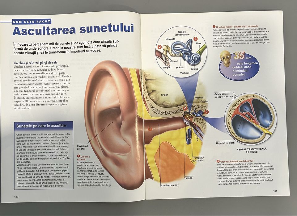 Corpul omenesc reviste Anatomie