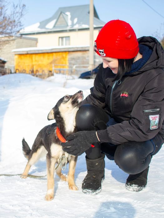 Забери меня домой